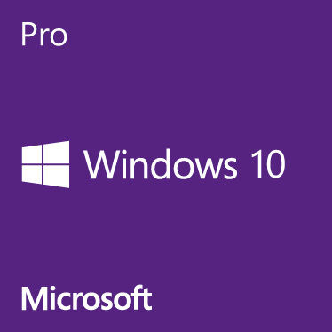 Win10_Pro_no_download